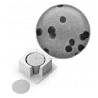 PCTE (Polycarbonate) Membranes