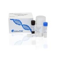 DNA Quantification Kits