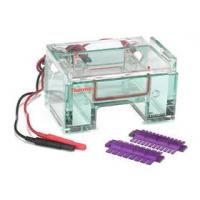 Electrophoresis & Blotting