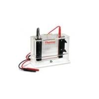 Vertical Gel Systems