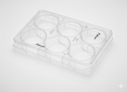 Falcon Clear Flat Bottom Multiwell Cell Culture Plate | Corning