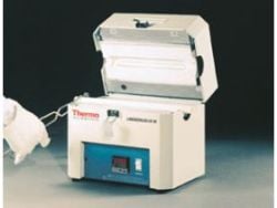 Lindberg/Blue M™ Mini-Mite™ Tube Furnaces | Thermo Scientific
