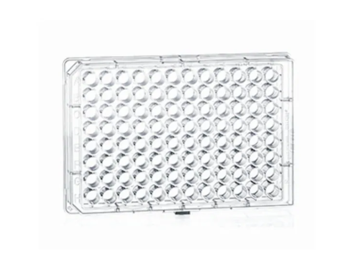 CellBIND Cell Culture Flasks | Corning Life Sciences