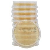 Hardy Diagnostics 15 mL LokTight Tryptic Soy Agar (TSA) with Lecithin and Tween 80 Contact Plates, USP Grade