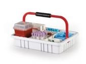 Phlebotomy Collection Tray