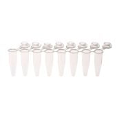 Celltreat 0.2 mL PCR 8-Strip Tubes, Separable, Attached Flat Caps, Clear