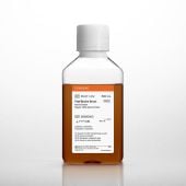 500 mL USDA Heat Inactivated Fetal Bovine Sera