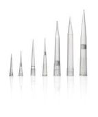 Scilogex MicroPette Universal Pipette Tips