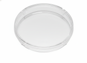 Corning Falcon Sterile Bacteriological Petri Dish, 351006