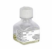 Corning Life Sciences Gentamicin Sulfate