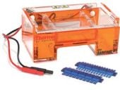 EasyCast B1 Mini Gel Electrophoresis Systems