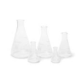 5-Piece Borosilicate Erlenmeyer Flask Set | United Scientific