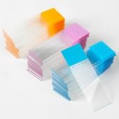 Globe Scientific Diamond White Glass Color Coded Frosted Microscope Slides