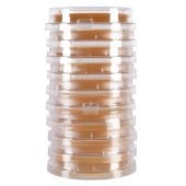 Hardy Diagnostics 15 mL LokTight Malt Extract Agar with Lecithin and Tween
