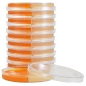 Hardy Diagnostics 15 mL / 15 mL SabDex Agar with Chloramphenicol and Gentamicin / Dermatophyte Test Medium in 15 x 100 mm Biplate