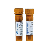 SmartGlow&trade; DNA Stains