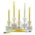 ACCU-SAFE Chamber Verification Bottle Thermometers