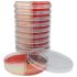 Hardy Diagnostics All Purpose Quad Plate (Eosine Methylene Blue Agar / Mannitol Salt Agar / Mycobiotic Agar / Blood Agar, 5%)