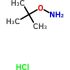 O-t-Butylhydroxylamine Hydrochloride - Spectrum Chemical