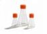 Corning Life Sciences 1 L Polycarbonate Vent Cap Erlenmeyer Shake Flasks