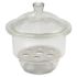 Glass Desiccator with Porcelain Plate, 6 - 12"