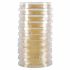 Hardy Diagnostics 10-Plate Standard Methods Agar
