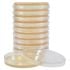 Hardy Diagnostics Baird-Parker Agar Plates