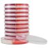 Hardy Diagnostics Cetrimide Selective Agar (CET) / MacConkey Agar (MAC) / Vogel and Johnson Agar (VJ) Triplates