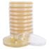 Hardy Diagnostics Sabouraud Dextrose (SabDex) Agar Polystyrene Plates