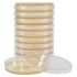 Hardy Diagnostics Tryptic Soy Agar (TSA) Plates, USP Grade