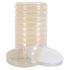 Hardy Diagnostics Potato Dextrose Agar (PDA) Petri Plates, USP Grade
