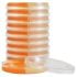 Hardy Diagnostics 15 mL / 15 mL SabDex Agar with Chloramphenicol and Gentamicin / Dermatophyte Test Medium in 15 x 100 mm Biplate