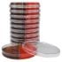 Hardy Diagnostics XLT4 (Xylose-Lysine-Tergitol 4) & Brilliant Green Agar (BGA) with Novobiocin Biplates