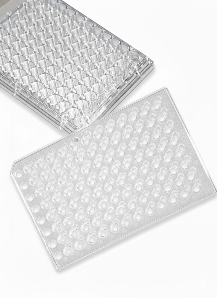 7369 HTS Transwell 96-Well Permeable Supports | Corning