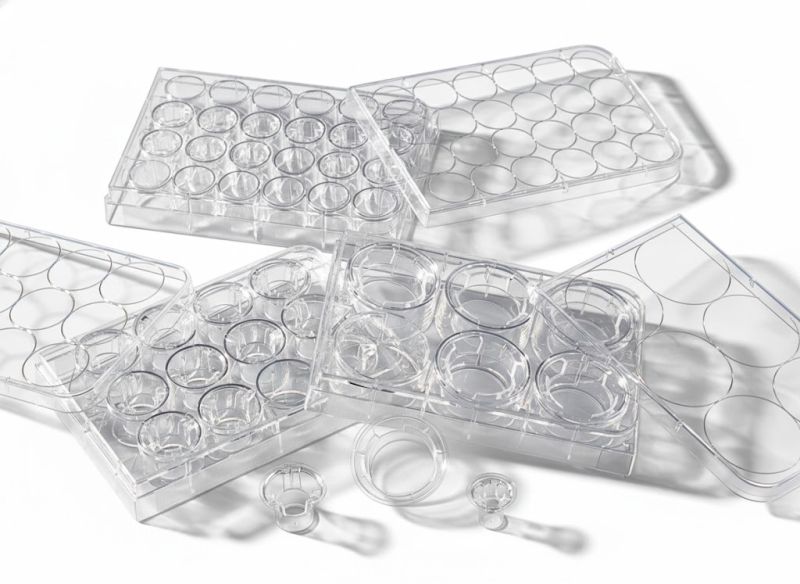 Translucent Polypropylene Inserts Transwell Clear Inserts with Polyester Membrane | Corning