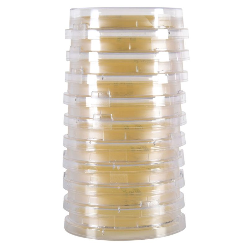 Sabouraud Dextrose, Media Culture Plate | Hardy Diagnostics