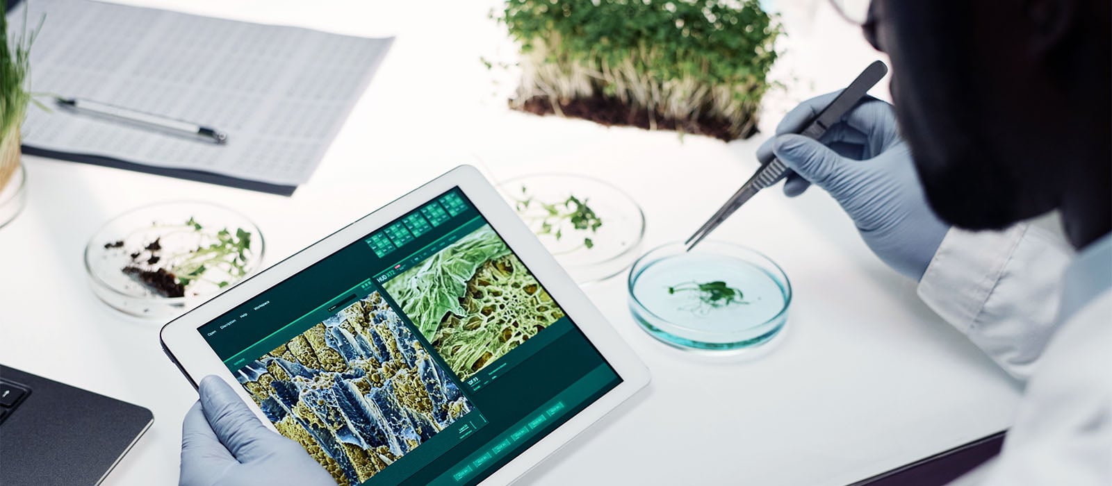 AI & Lab Sustainability Strategies