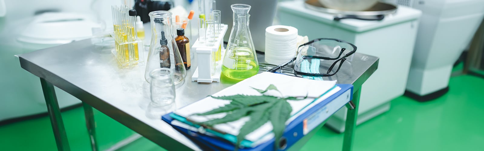 Cannabis Extraction: Solventless Extraction