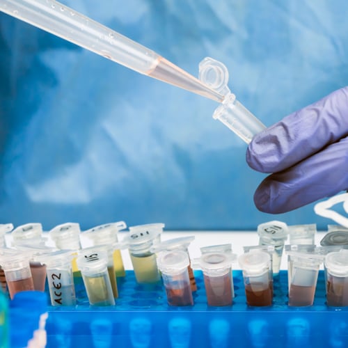 Testing Water Samples