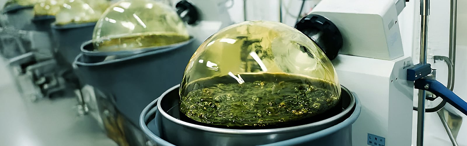 Hydrocarbon Extraction