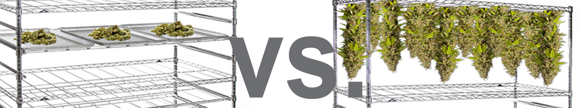 Hang Drying vs Tray Drying Cannabis