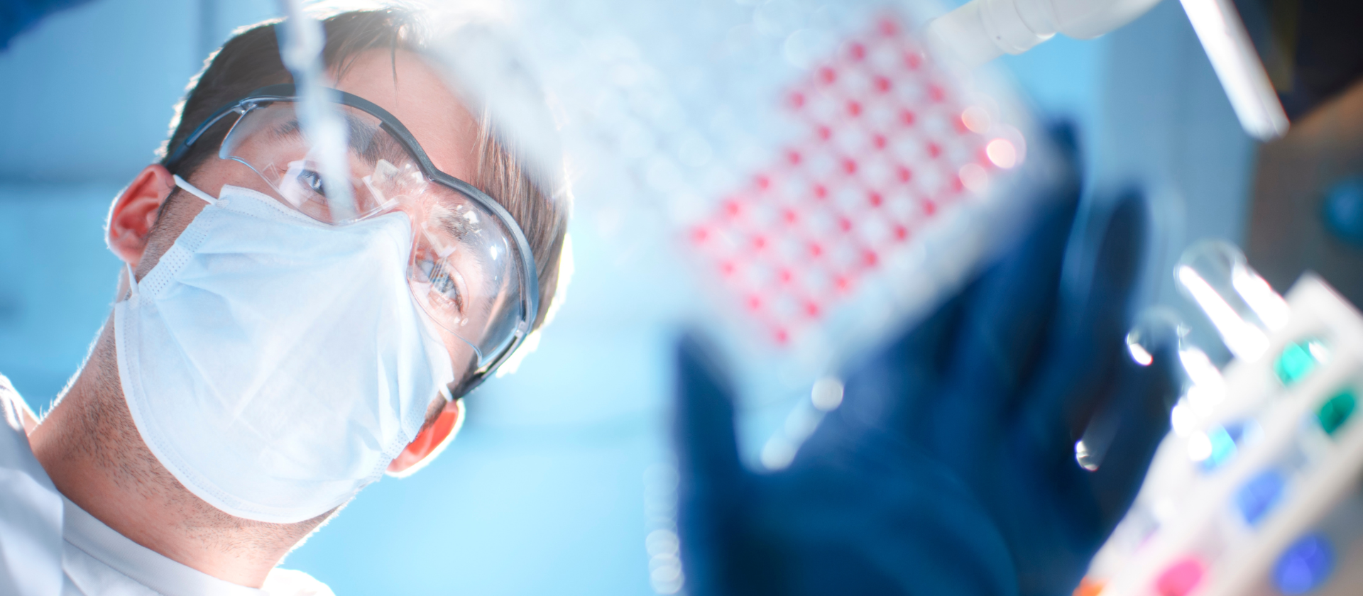 Remove RNase and DNAse from Plasticware