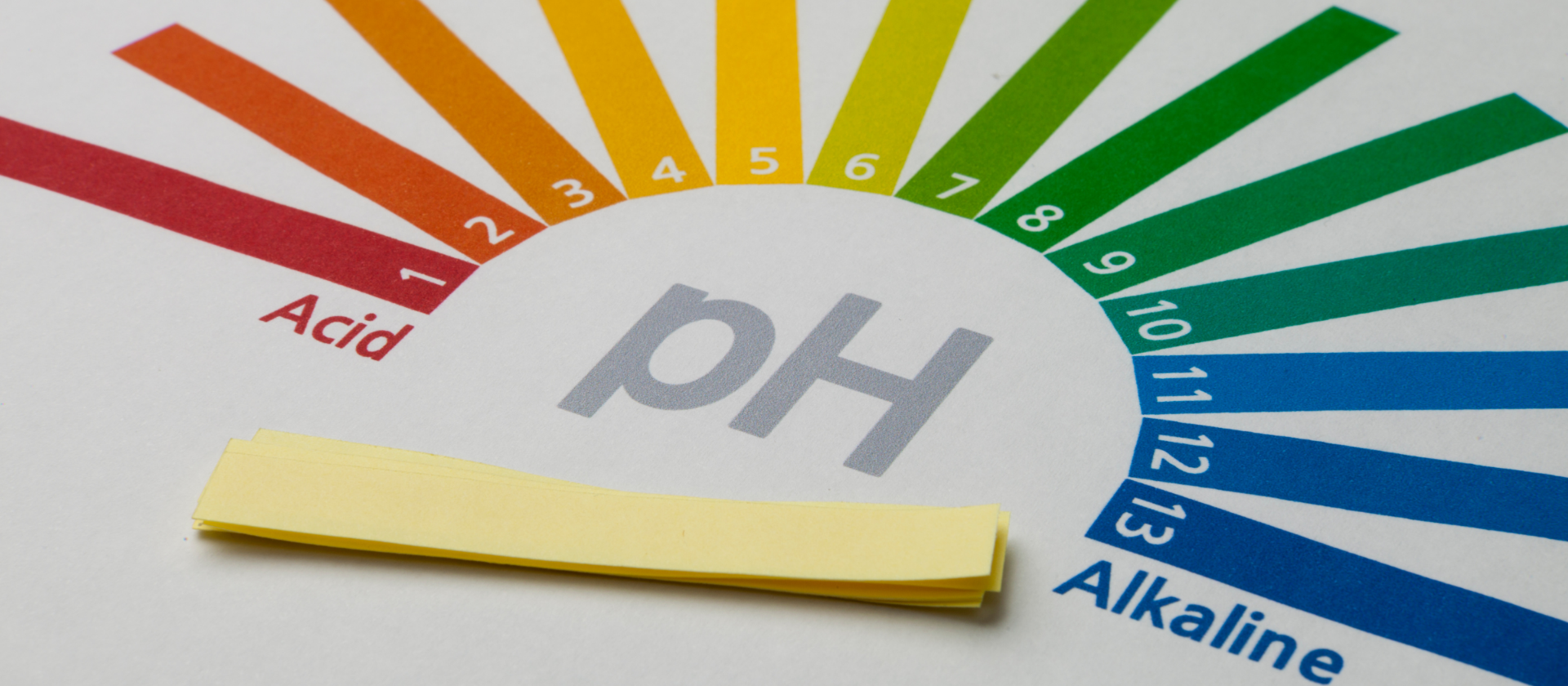 ph scale with tester strips