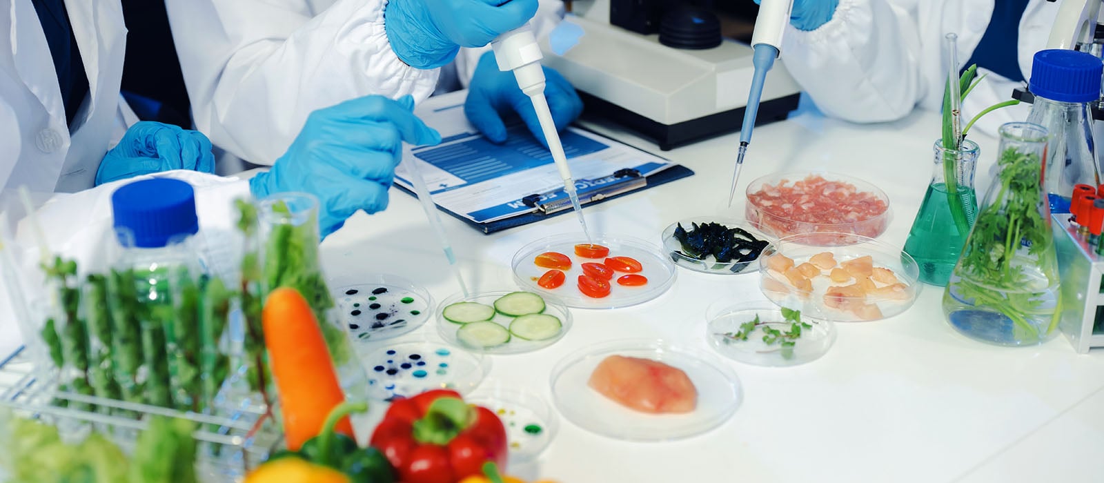 Food Microbiology Testing