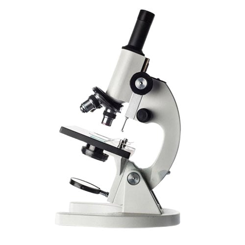 Microscope