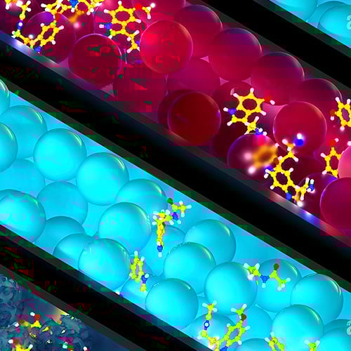 Ion Exchange Chromatography
