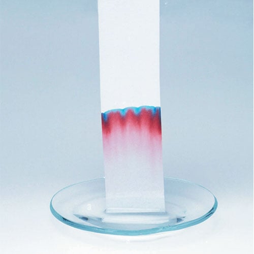 Paper Chromatography