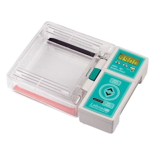 Electrophoresis System