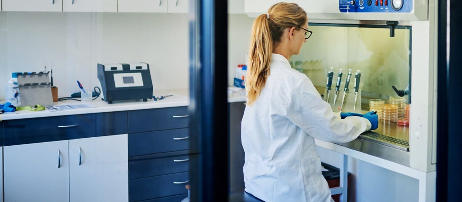 Fume Hood and Biosafety Cabinet