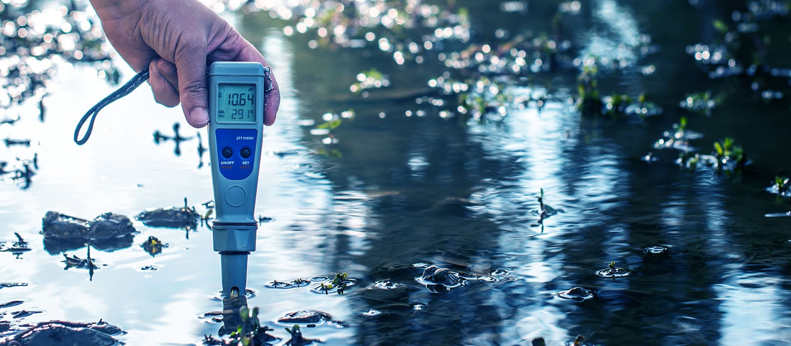 pH Measurement Products and Solutions